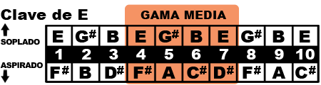 gama media